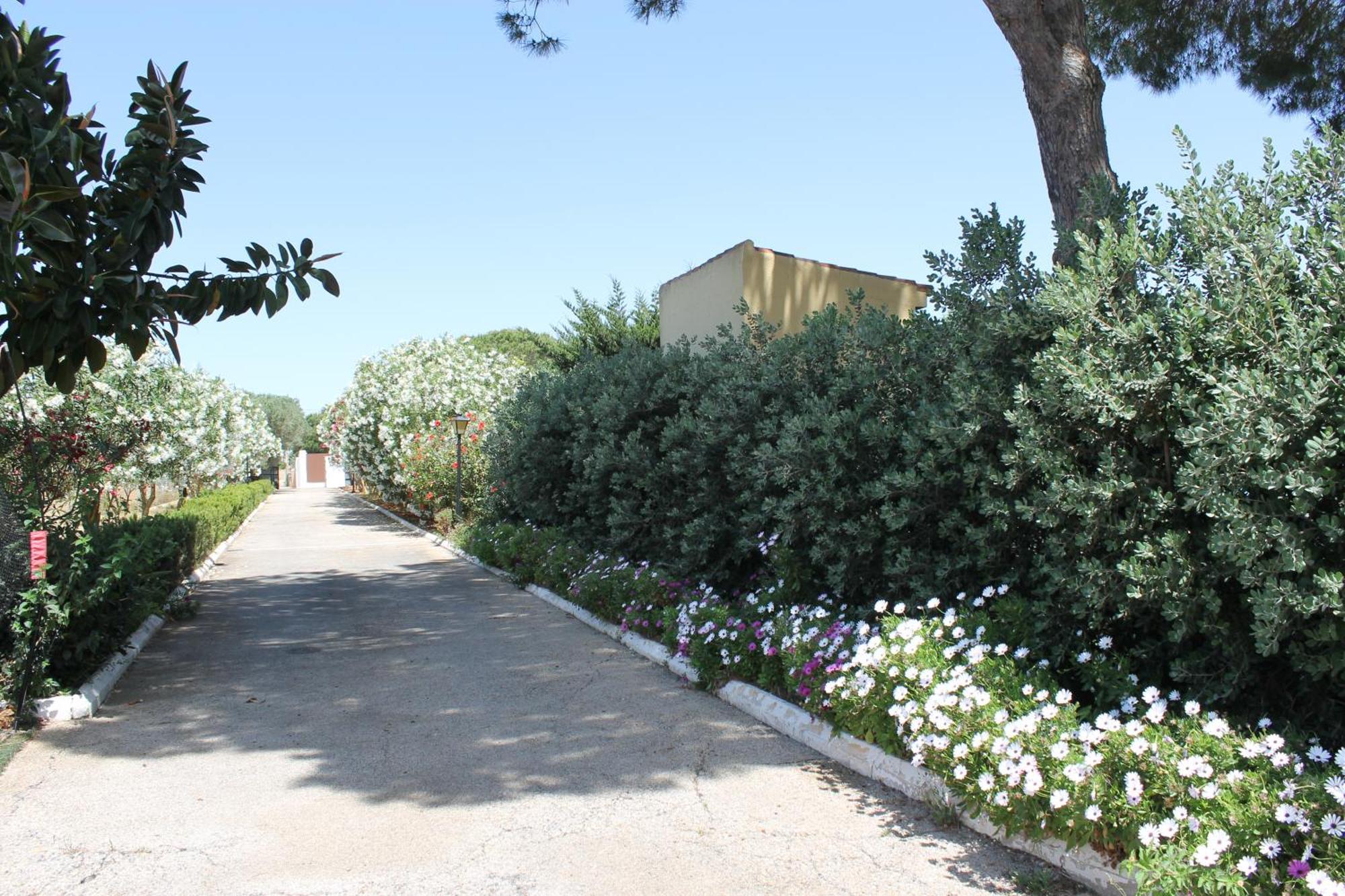 Casa Con Piscina Privada Y Barbacoa En Chiclana Capacidad Hasta 10 Personas Villa Chiclana de la Frontera Exterior photo